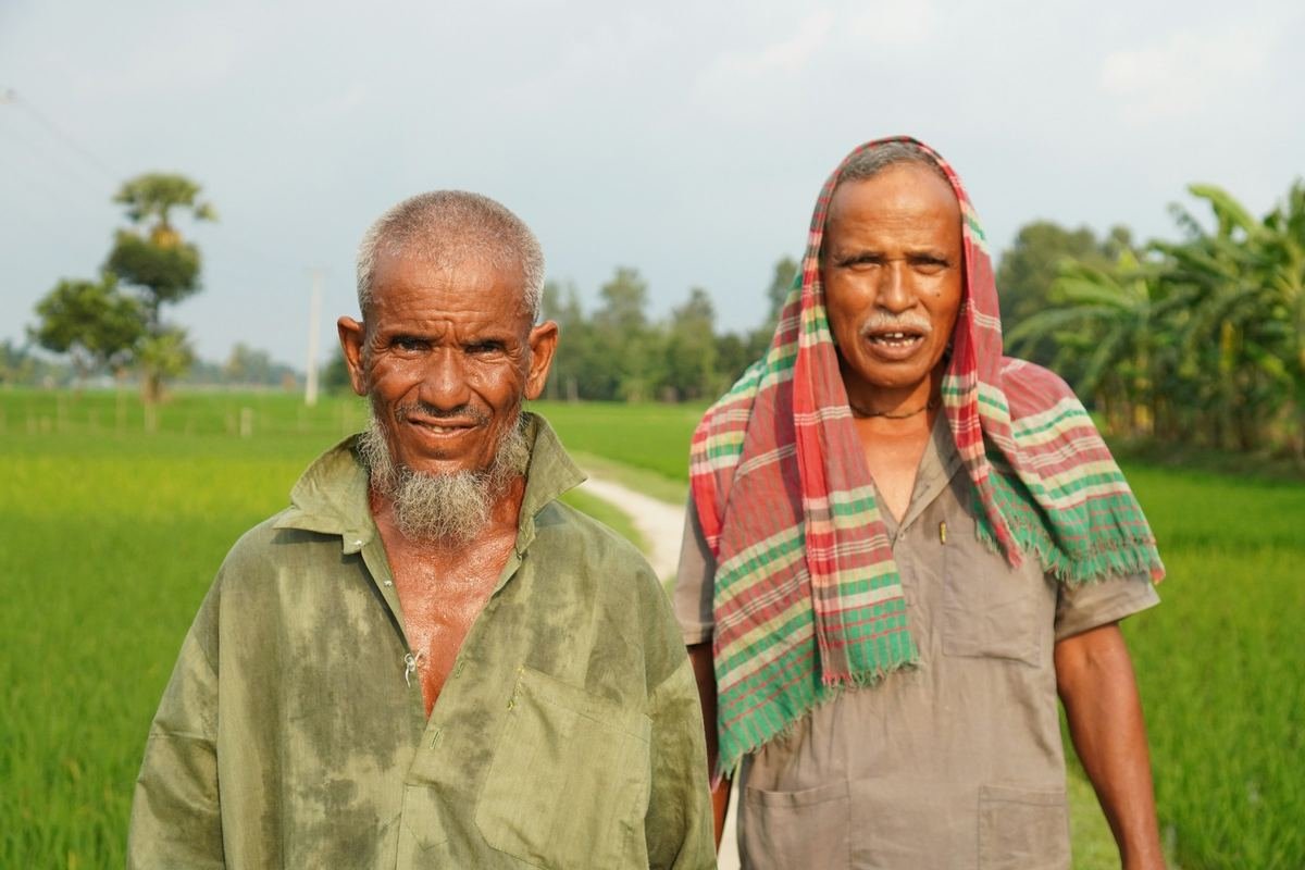 Two older men standing together in a green rice field.