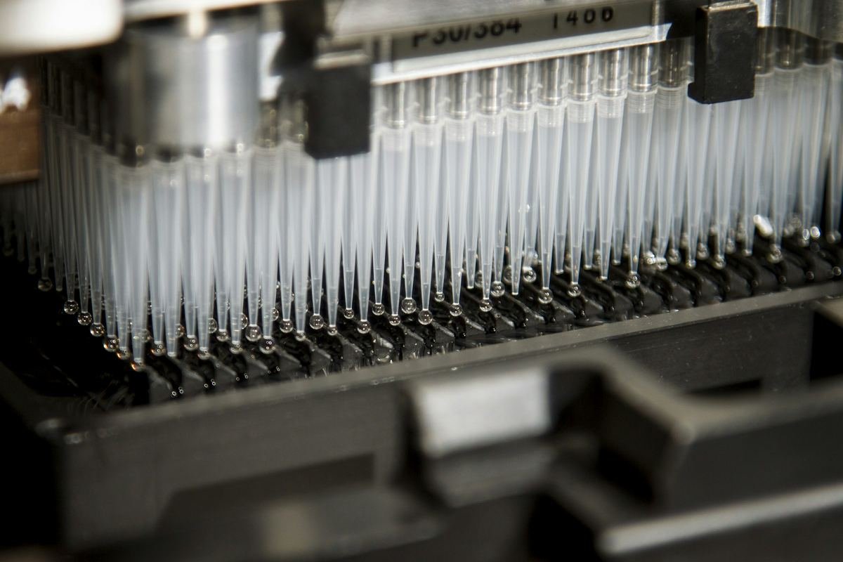 Automated laboratory equipment used for high-throughput DNA processing.