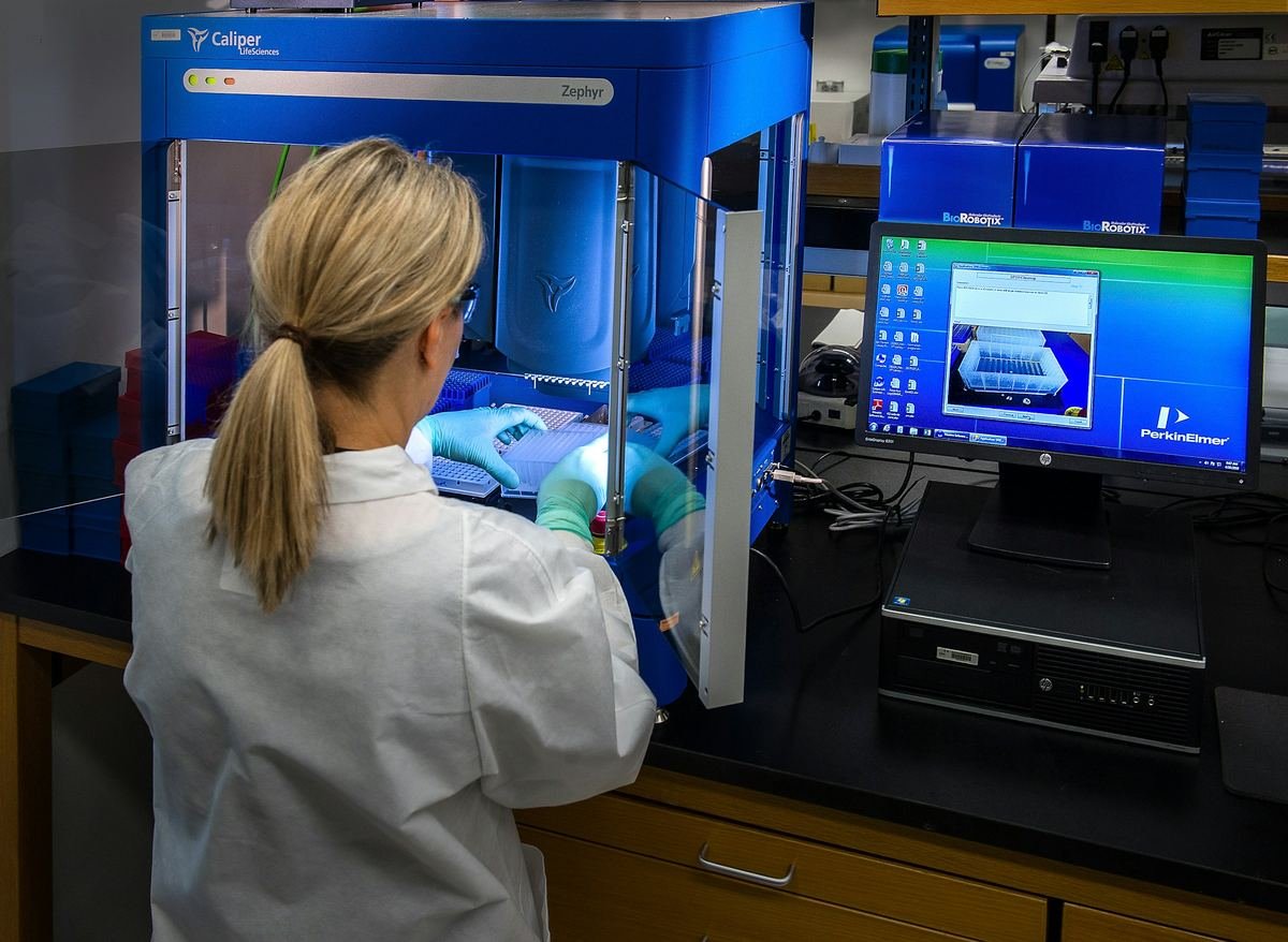 A scientist working at a laboratory safety cabinet.
