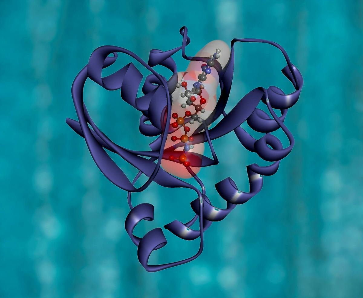 A 3D model of the KRAS protein structure.